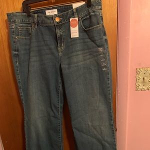 Lane Bryant Boot Cut Jeans